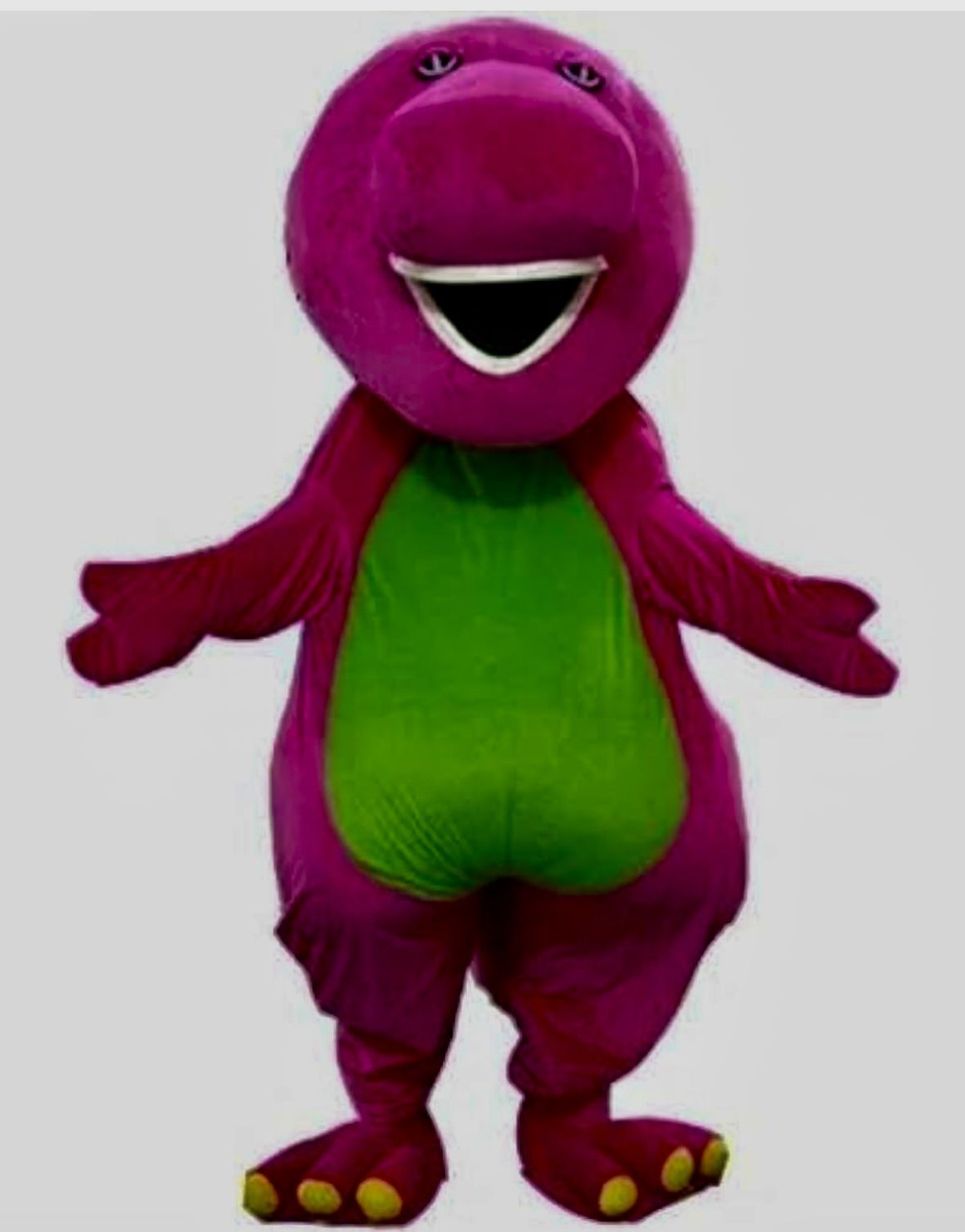Barney Mascot Costume