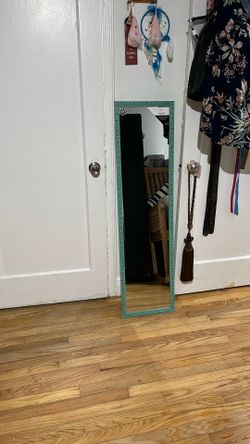 Door Mirror