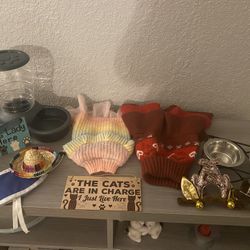 Cat Pack Clearance