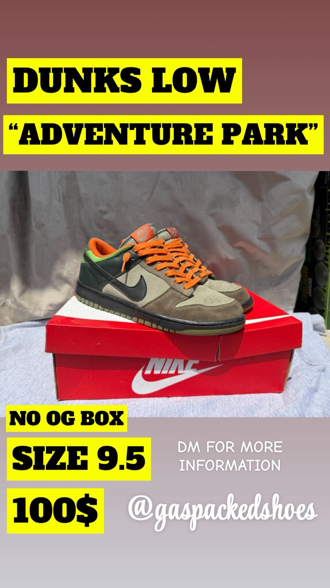 NIKE DUNK “ADVENTURE PARK” SIZE 9.5