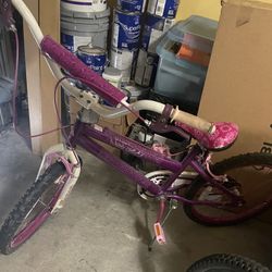 Girls Bike. Great Condition. 