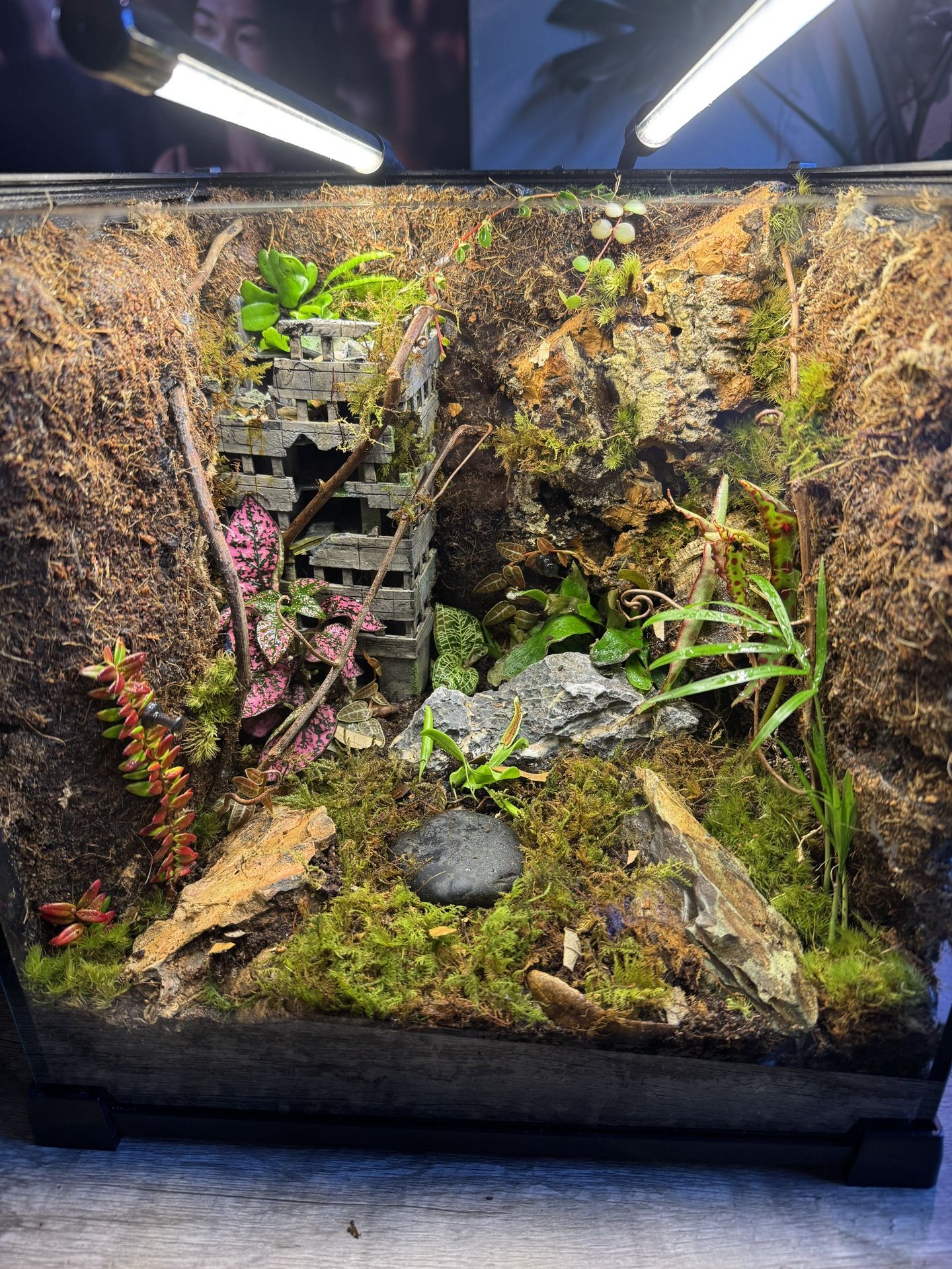 Terrarium