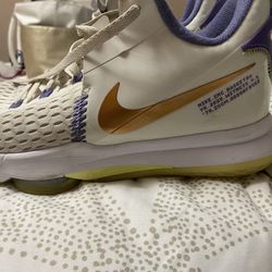 Nike LeBron Witness 5