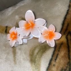 Hair Clips