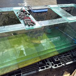 180 Gallon Tank