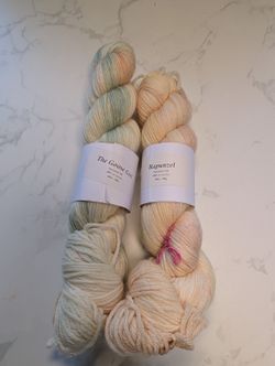 2 Skeins Through The Wardrobe Yarn Co Dystopian DK Superwash Merino 200g