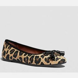Coach leopard flats