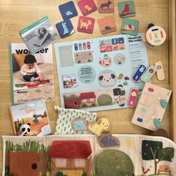 kiwico panda crate discover with me 12-24 months