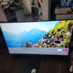 60 In LG Flat Screen tv