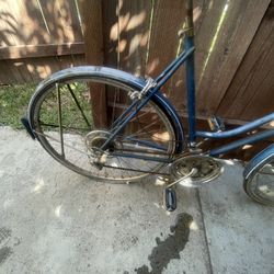 Schwinn Bicycle Girls Project