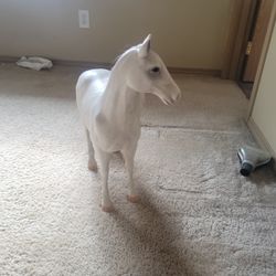 American Girl Doll Horse TOY