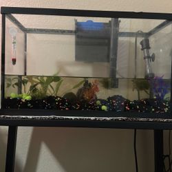 Complete 10 Gallon Fish Tank