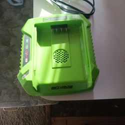 Greenworks Pro 80 Volt Lithium Battery