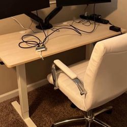 Standing Desk Office Set Up 