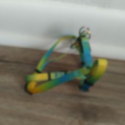 2pt Y Harness-XXS- Small Dog Or Cat