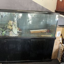 120 Gallon Fish Tank With Some Accessories Give Me A Price 