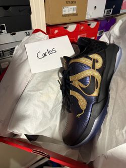 Kobe 5 Year Of The Mamba