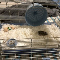 Hamster Cage Starting Kit 