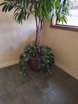 Decorative tree