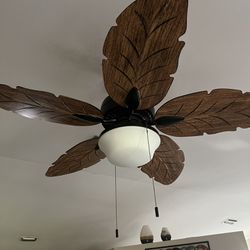 Two Months Old, Beautiful Outdoor Fan And Light