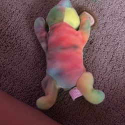 Sammy the beaine bear