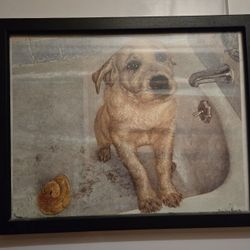 Dog In The Tub Framed Picture
