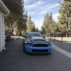 2011 Ford Shelby Gt500