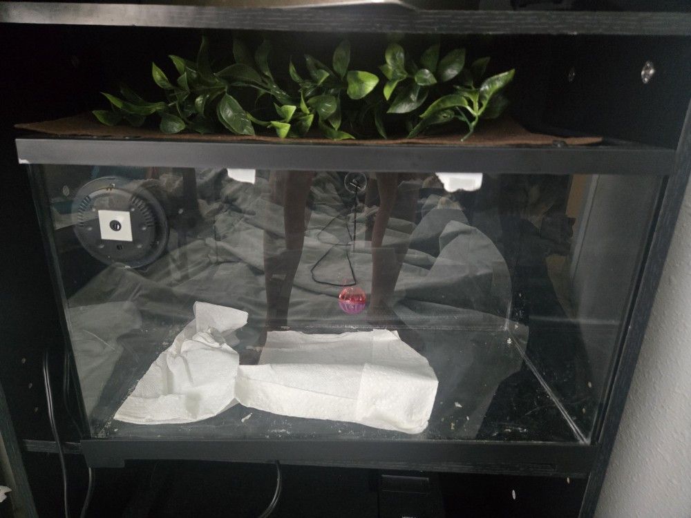20 Gallon Terrarium 