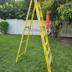 Ladder 8ft