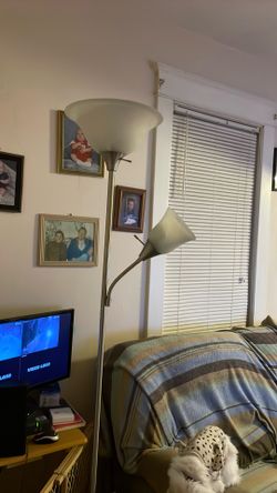 2 Floor Lamps