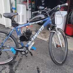80cc Motorized Bicycle