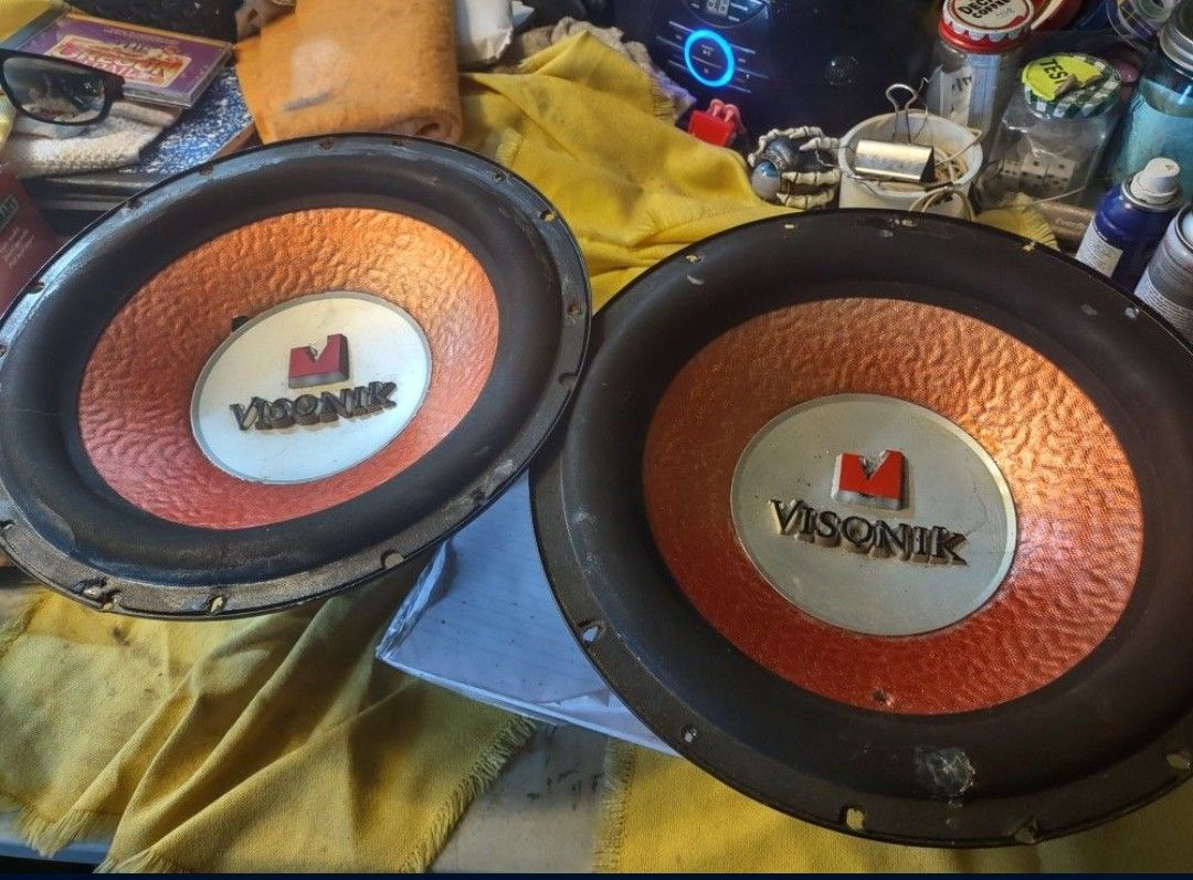 Two 12-in Subwoofers 300 Watts 600 Peak