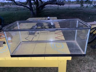 Fish and or reptile tanks