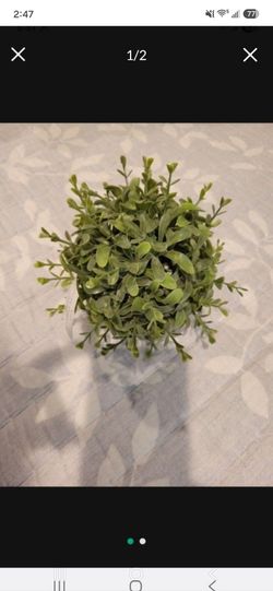 Faux Boxwood sphere