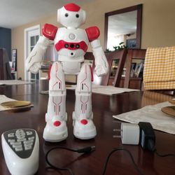 12" INTELLIGENT ROBOT