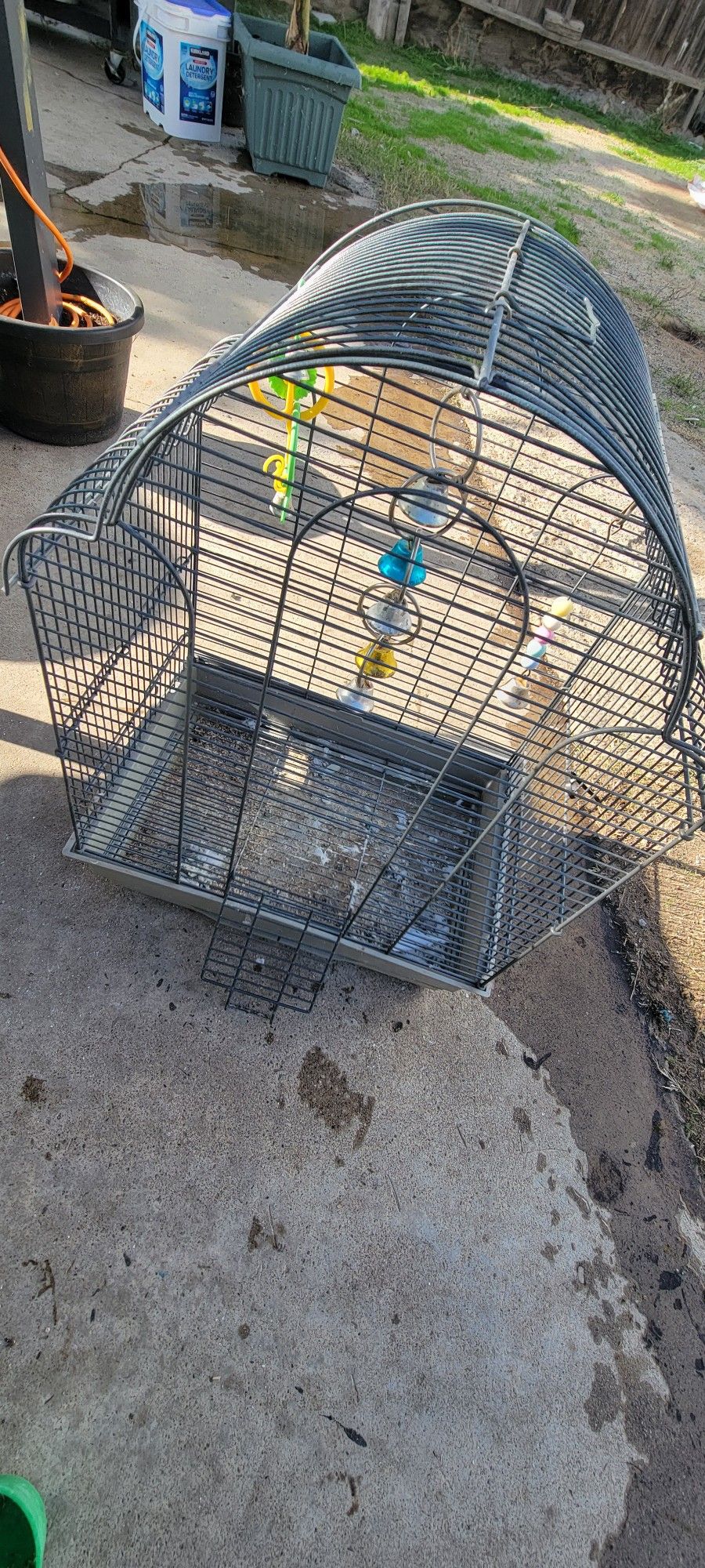 Small Bird Cage