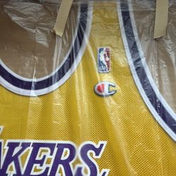 Lakers Magic Johnson  Lakers  NBA  Framed Jersey 