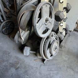 Set Of Olympic Weight Set With Tree