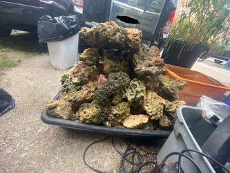 Dry Rock For Sale 