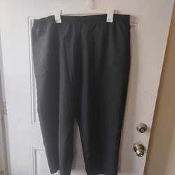 Morgan Crossing Women's Black Waistband Pants