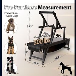 Medium Sized Dog Treadmill