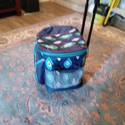 Artic Zone Cooler 
