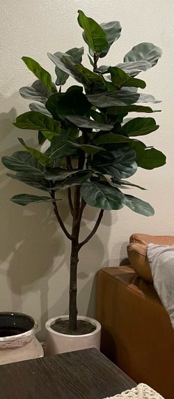 Faux fiddle fig tree
