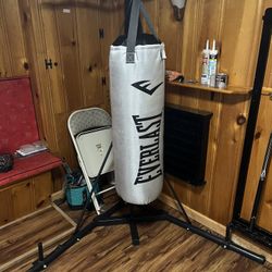 Everlast Punching Bag