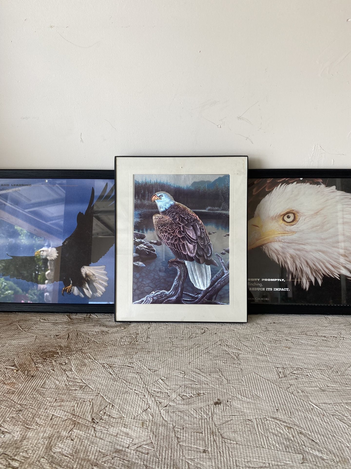 Eagles And Frame Pictures Diferent Sizes