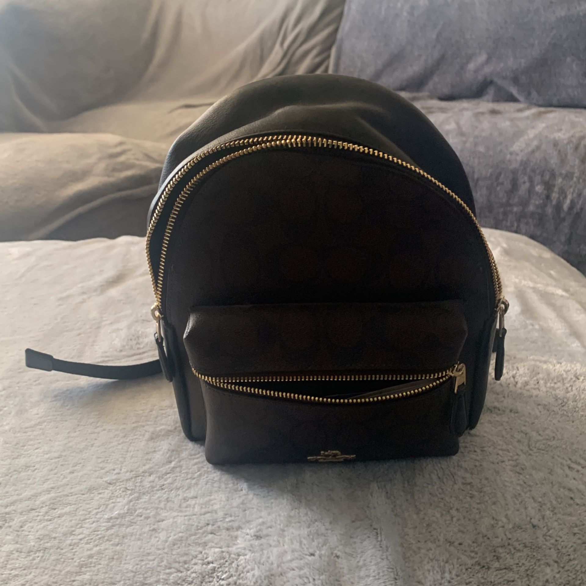 Mini Coach Backpack 