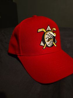 Anaheim Ducks Snap Back