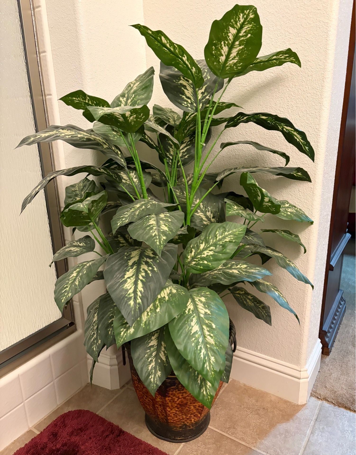 Plant Decoration