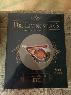 Dr. Livingston's Anatomy Jigsaw Puzzle – The Human Eye