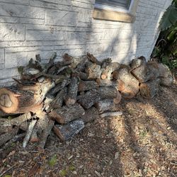 OAK Firewood Logs - You Haul